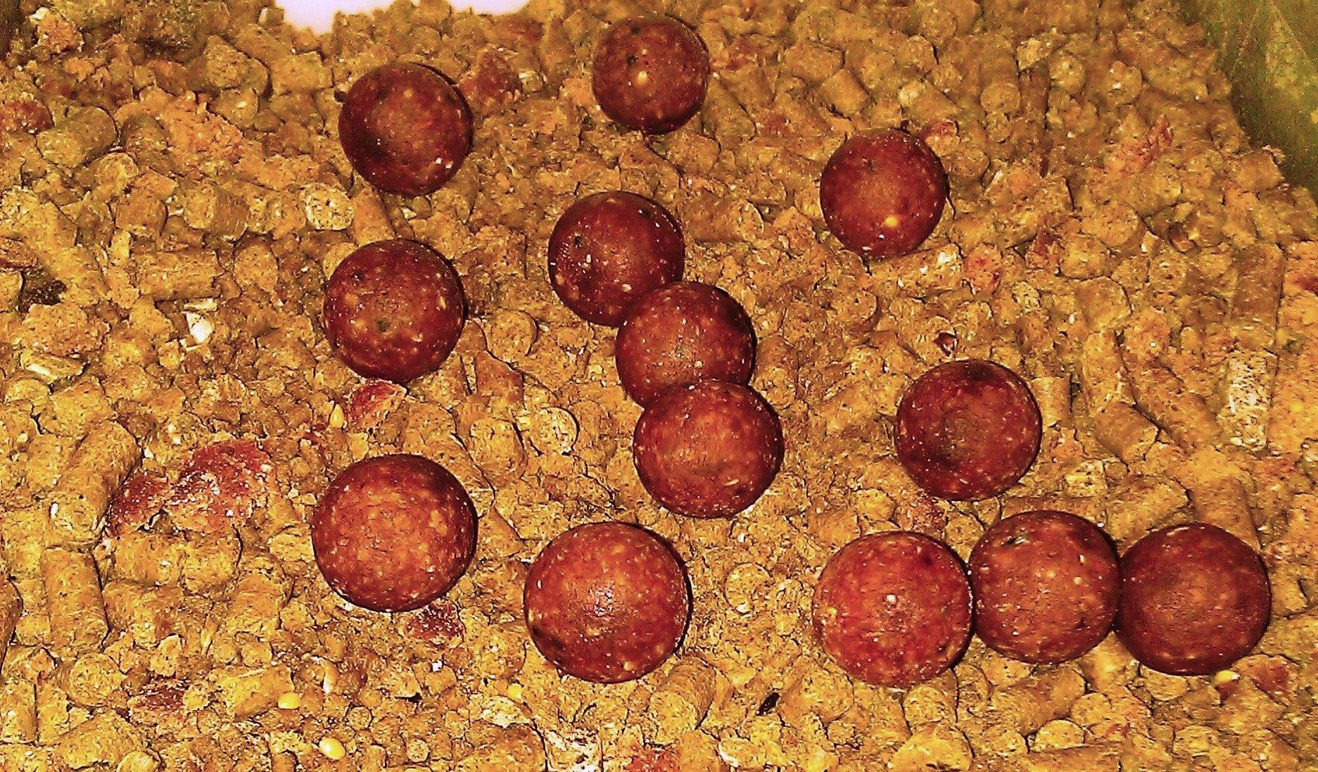 Magura 9 23 - 23 nov. - 2.jpg